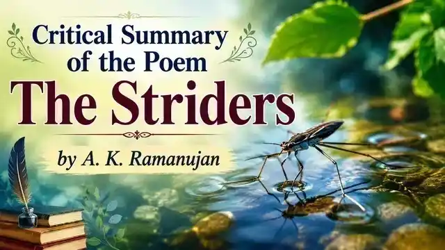 Critical Summary of the Poem The Striders by A. K. Ramanujan